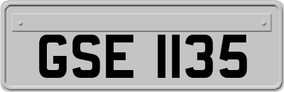 GSE1135