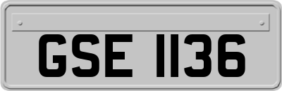 GSE1136