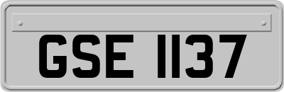 GSE1137