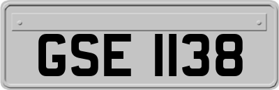 GSE1138