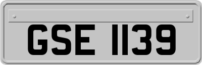 GSE1139