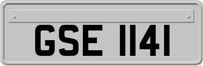 GSE1141