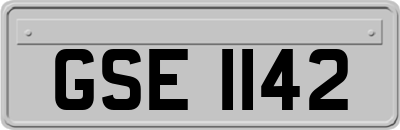 GSE1142
