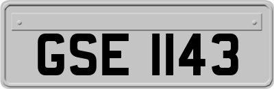 GSE1143