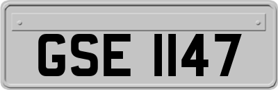 GSE1147