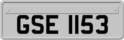 GSE1153