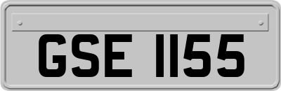 GSE1155