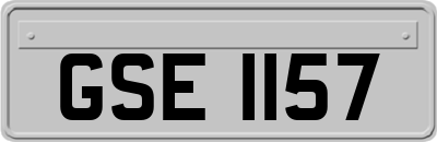 GSE1157