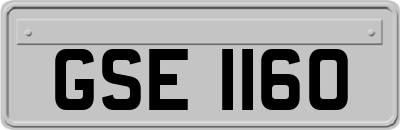 GSE1160