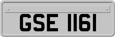 GSE1161