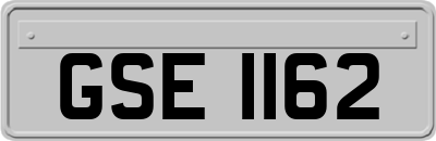 GSE1162