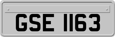 GSE1163