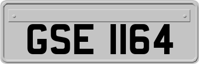 GSE1164