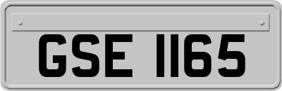 GSE1165