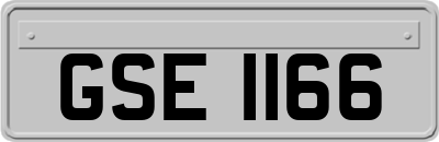 GSE1166