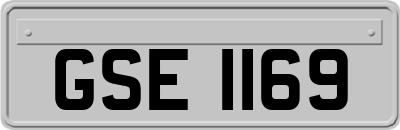 GSE1169
