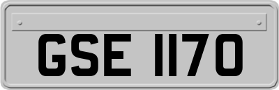 GSE1170