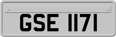 GSE1171