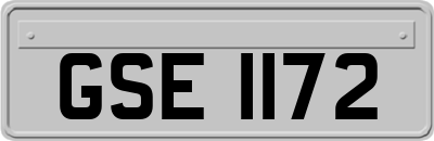 GSE1172