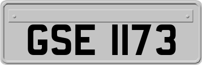 GSE1173