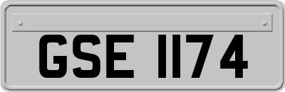 GSE1174