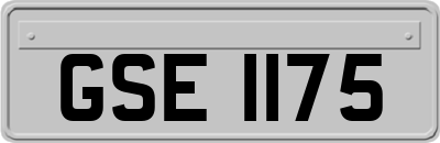 GSE1175