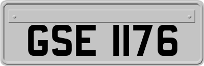 GSE1176