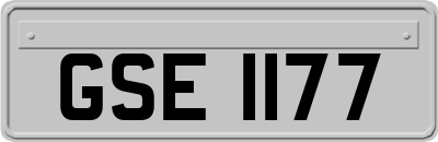 GSE1177
