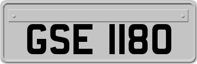 GSE1180