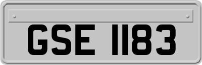 GSE1183