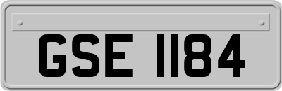 GSE1184
