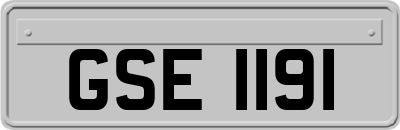 GSE1191