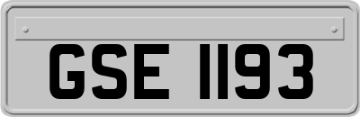 GSE1193