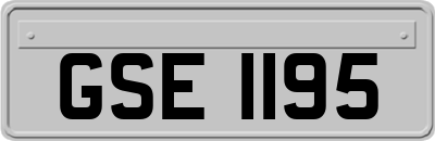 GSE1195