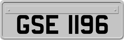 GSE1196
