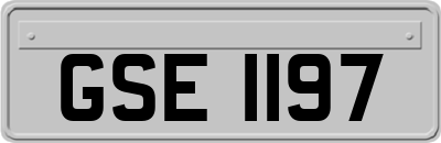 GSE1197