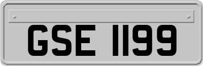 GSE1199
