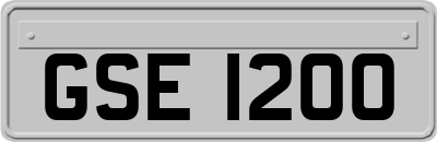 GSE1200
