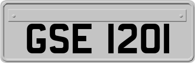 GSE1201