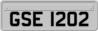 GSE1202
