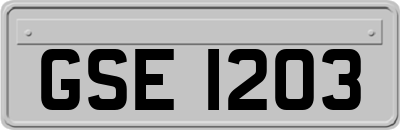 GSE1203