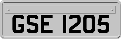 GSE1205