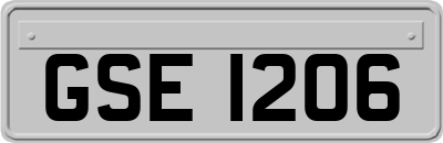 GSE1206