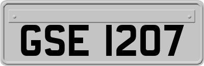 GSE1207