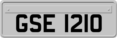 GSE1210