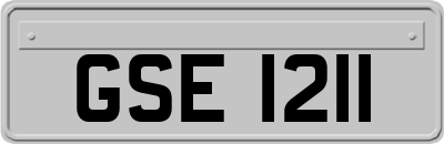 GSE1211