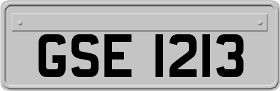 GSE1213