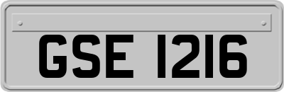 GSE1216
