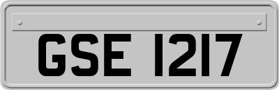 GSE1217