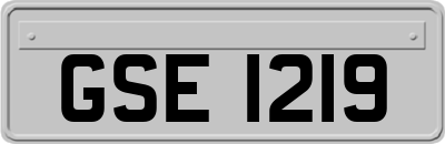 GSE1219